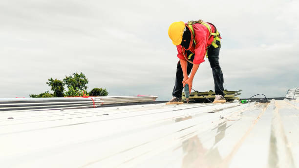 Best Roof Maintenance and Cleaning  in Coon Rapids, MN